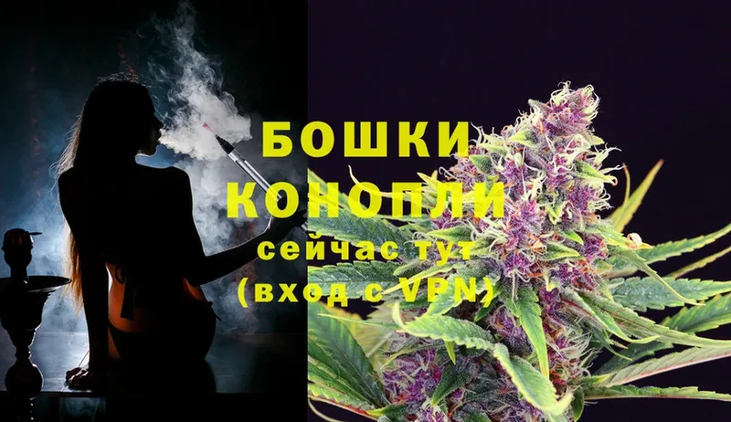 Шишки марихуана SATIVA & INDICA  МЕГА как войти  Бийск 